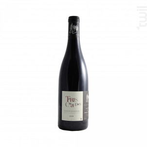 Les terres chaudes - Thierry Germain - Domaine des Roches Neuves - 2018 - Rouge