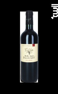 Ailes de Paloumey - Vignobles Paloumey- Château Paloumey - 2015 - Rouge