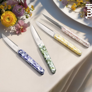 Coffret De 4 Couteaux De Table Joseph Nanocut Multicolore - Tarrerias Bonjean -  - 