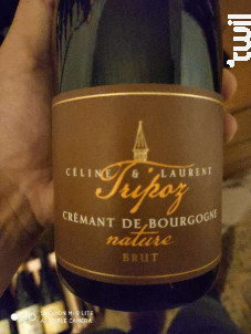 Crémant de Bourgogne Nature Brut - Domaine Tripoz - 2022 - Effervescent