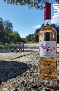 IGP Rosé Fruité - Domaine l'Oppidum des Cauvins - 2022 - Rosé