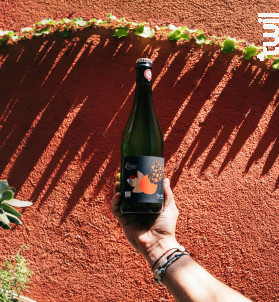 Pet Nat (Pétillant Naturel) - Domaine Ricardelle de Lautrec - 2024 - Effervescent