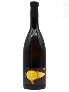 Miss Terre Leptynite - Domaine La Sénéchalière - 2020 - Blanc