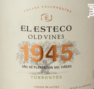 OLD VINES 1945 - TORRONTES - EL ESTECO - 2023 - Blanc