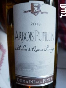 Melon à Queue Rouge - Domaine de la Pinte - 2022 - Blanc