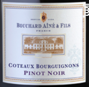 Coteaux Bourguignons - Bouchard Aîné et Fils - 2023 - Rouge