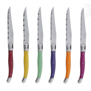 Coffret 6 Couteaux Laguiole Irise Assortis - jean dubost -  - 