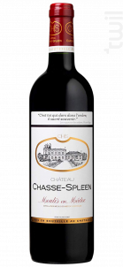 Château Chasse-Spleen - Château Chasse-Spleen - 2019 - Rouge