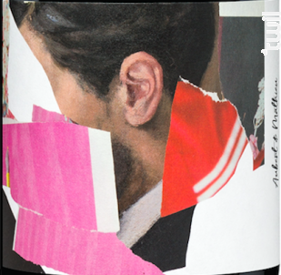 Côtes du Roussillon Villages Caramany - Aubert et Mathieu - 2016 - Rouge