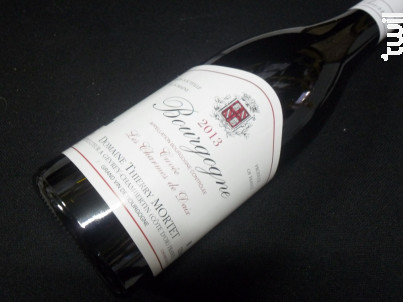 Bourgogne Pinot Noir Les Charmes de Daix - Domaine Thierry Mortet - 2020 - Rouge