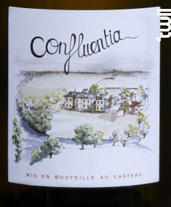 Confluentia - VGC Véronique Günther-Chéreau - 2020 - Blanc