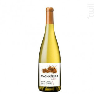 Pinot Grigio - Magna Terra Italica - 2020 - Blanc
