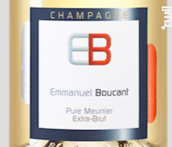 Le Style Emmanuel Boucant 100 % Meunier - Champagne Emmanuel Boucant - No vintage - Blanc