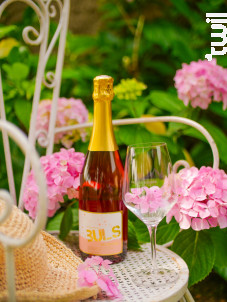 Bul's - Clos Triguedina - No vintage - Effervescent