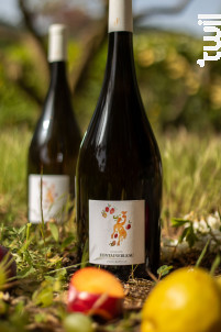 Louis-Baptiste - Domaine Fontainebleau en Provence - 2023 - Blanc