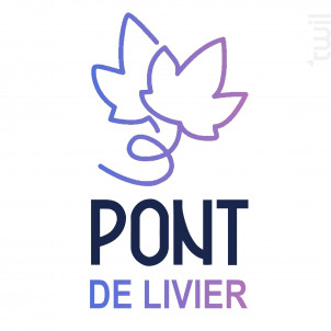 Sauvignon - Domaine du pont de Livier - 2024 - Blanc
