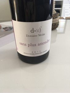 Sans Plus Attendre - Domaine Modat - 2017 - Rouge