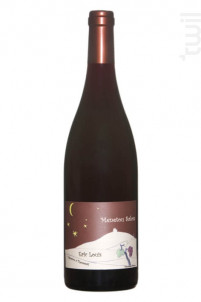 Menetou Salon - Domaine Eric Louis - Les Celliers de la Pauline - 2017 - Rouge