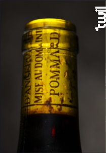 Pommard Premier Cru Combes Dessus - Domaine Marquis d'Angerville - 2019 - Rouge