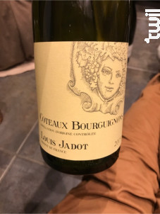 Coteaux Bourguignons - Maison Louis Jadot - 2024 - Blanc