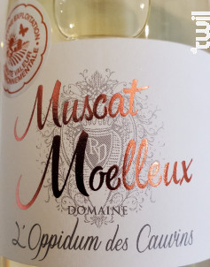 IGP Muscat Moelleux - Domaine l'Oppidum des Cauvins - 2022 - Blanc