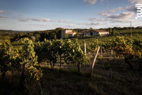 Château Robin - Terroir de Crus - 2019 - Rouge