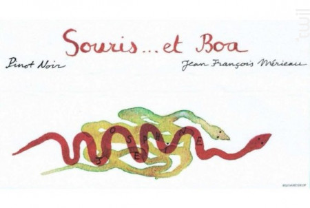 Souris et Boa - MÉRIEAU - Vignobles des Bois Vaudons - 2019 - Rouge