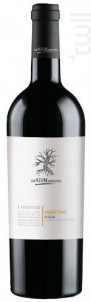 Primitivo - Cantine San Marzano - No vintage - Rouge