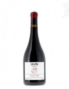 Pinot Noir 0.5% - Divin Nolow -  - 