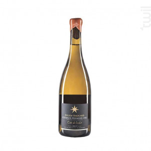 Chablis 1er Cru - Côte de Léchet - Julien Brocard - 2020 - Blanc