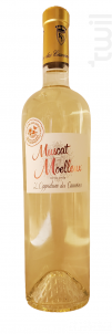 IGP Muscat Moelleux - Domaine l'Oppidum des Cauvins - 2022 - Blanc