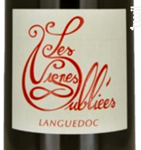 Autour de Cinsault - LES VIGNES OUBLIEES - 2024 - Rouge