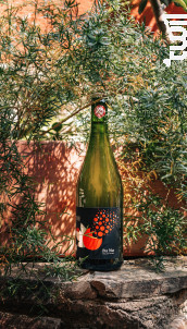 Pet Nat (Pétillant Naturel) - Domaine Ricardelle de Lautrec - 2024 - Effervescent