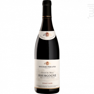 Bourgogne Pinot Noir - Coteaux Des Moines - Bouchard Père & Fils - 2017 - Rouge
