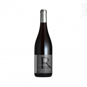 Cote Bichet Pierres Dorées - Domaine Rivière - 2019 - Rouge