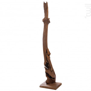 Déco Bois Savane - Amadeus -  - 