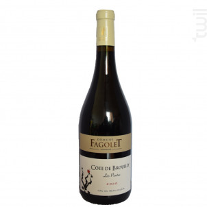 Les Pentes - Domaine Le Fagolet - 2020 - Rouge