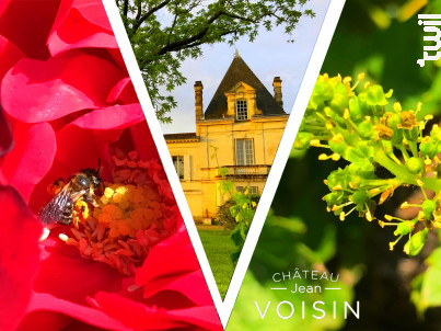 L'Esprit de Jean Voisin - Château Jean Voisin - 2019 - Rouge