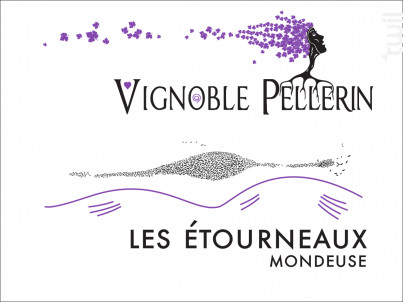 Les Étourneaux - Vignoble Pellerin - 2022 - Rouge