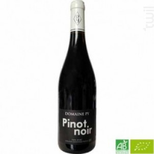 Pinot Noir - Domaine Py - 2023 - Rouge