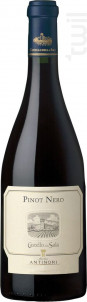 Pinot Nero - Castello della Sala - Antinori - No vintage - Rouge