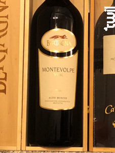 Montevolpe Rosso - BERTAGNA - No vintage - Rouge