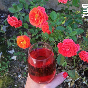 Le rosé de Frédéric - Château Lucas - 2014 - Rosé