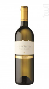 Pinot Bianco - Elena Walch - No vintage - Blanc