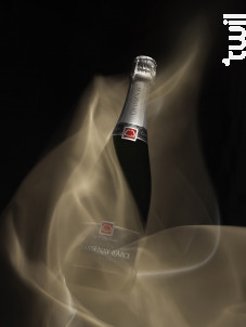 Cuvée Première Brut - Champagne Chassenay d’Arce - No vintage - Effervescent