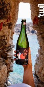 Pet Nat (Pétillant Naturel) - Domaine Ricardelle de Lautrec - 2024 - Effervescent