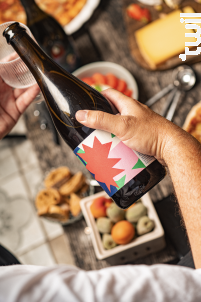 MUSHABOOM - Malt X Raisin - Aubert et Mathieu -  - 