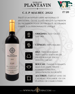 C.E.P MALBEC - Domaine Plantavin - 2022 - Rouge