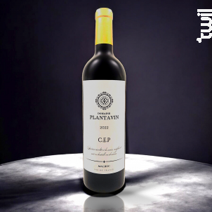 C.E.P MALBEC - Domaine Plantavin - 2022 - Rouge