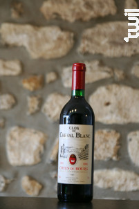 Clos du Cheval Blanc - Clos du Cheval Blanc - 1995 - Rouge